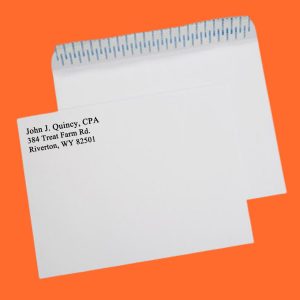 10" x 13" Peel & Seal Envelopes